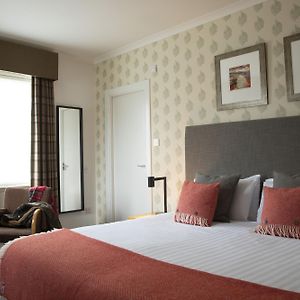 Guest Double or Twin Room